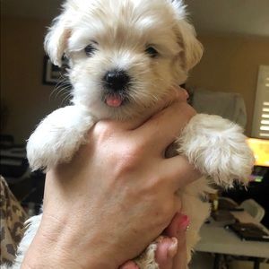 Meet your Posher, Matthew